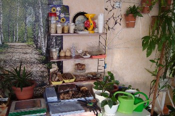 �����������